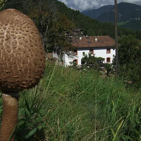 Bauernhof Gruberhof Jenesien